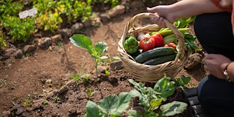 Hauptbild für Vegetable Gardening with Companion Planting