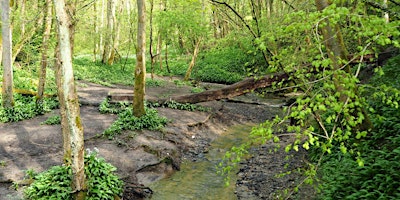 Walk 28 Coalbrookdale  3  miles  primärbild