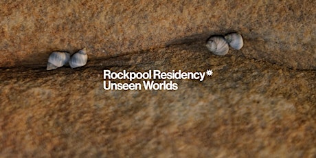 Rockpool Residency | Rockpool Ramble with Marine Biologist Will Jones primary image