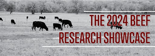 Collection image for Beef Research Showcase