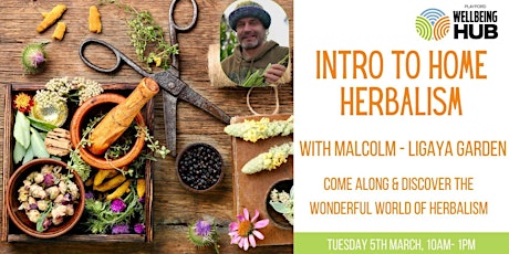 Intro to home herbalism with Malcolm - Ligaya Garden primary image