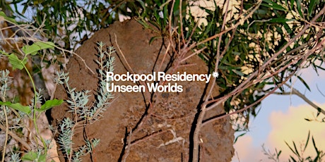 Rockpool Residency | Birding Ecology Bushwalk with Renée Ferster Levy primary image