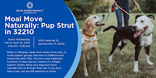 Imagen principal de Moai Move Naturally: Pup Strut in West Jacksonville (32210)