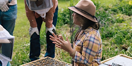 Bee Experience at Highwic primary image