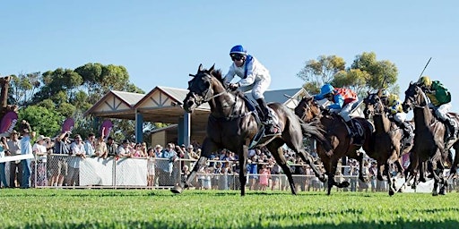 Primaire afbeelding van Geraldton Cup