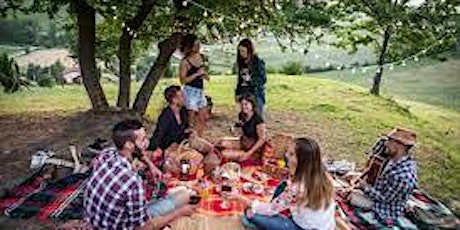 Extremely attractive picnic party