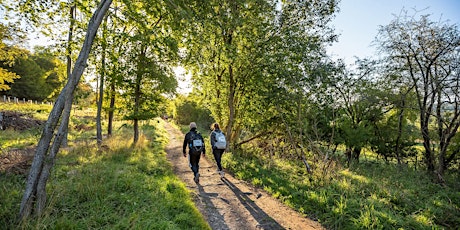 Chiltern 50 Ultra Challenge