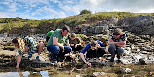 Rockpool Roadies Training Day