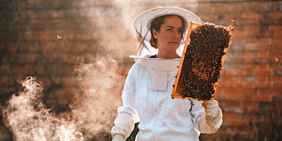 Imagem principal do evento Woodland Beekeeping Feast with Amy Newsome