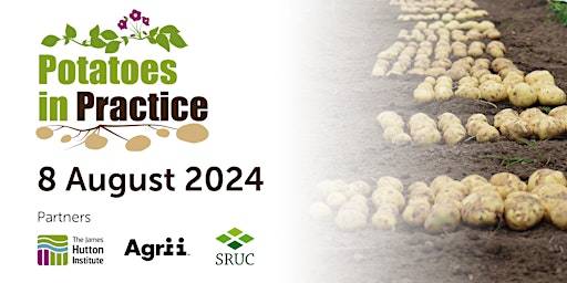 Primaire afbeelding van Potatoes in Practice 2024