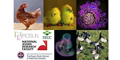 Imagen principal de Avian Research Symposium 2024