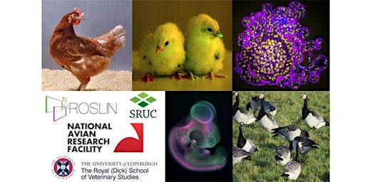 Avian Research Symposium 2024 primary image