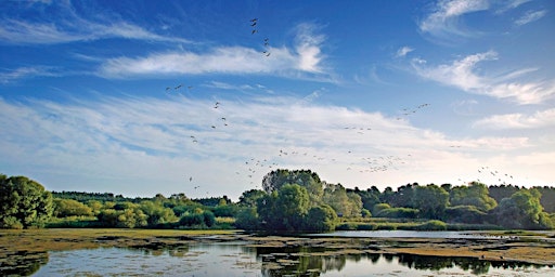Primaire afbeelding van Discover Suffolk Wildlife Trust