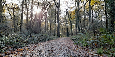 Roving Rangers Spring Walk @ Hem Heath primary image