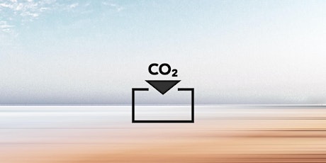 CO2-Entfernung: Ein Käufer-Club für Unternehmen? primary image