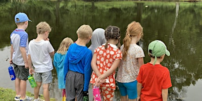 Hauptbild für ECO Camp