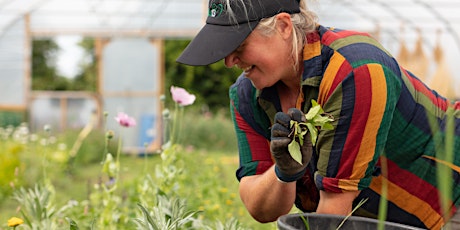 Grow Your Own Cut Flowers- Half Day Course