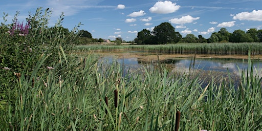 Primaire afbeelding van Understanding your Community's river (EWC1806 Community)