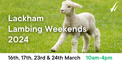 Lackham Lambing Weekend 2024 - Saturday 23rd March primary image