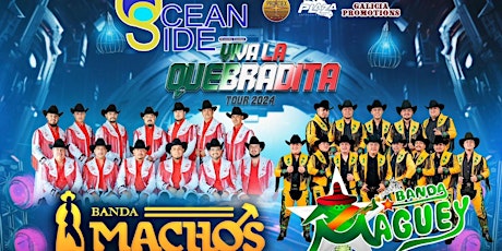 Imagen principal de BANDA MACHOS & BANDA MAGUEY