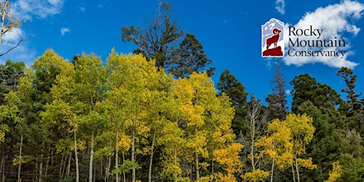 A Season of Beauty and Change - Autumn in Rocky Mountain National Park  primärbild