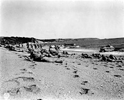 Codenamed Obstacle: the Exercise Tiger tragedy of 28 April 1944. primary image