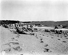 Codenamed Obstacle: the Exercise Tiger tragedy of 28 April 1944.