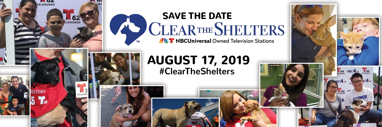 Clear the Shelters: Give a Pet a Loving Home