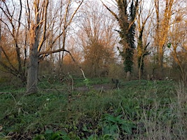 Hauptbild für Understanding your Community's habitat  (EWC1806 Community)