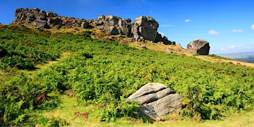 Image principale de Maggie's Yorkshire Cow and Calf Abseil