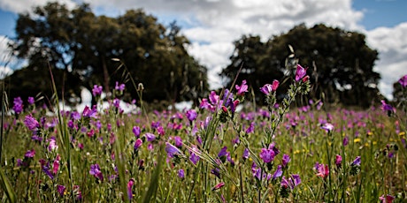 East Anglia: Holistic Farming with 3LM (supported by Anglian Water & CSF)