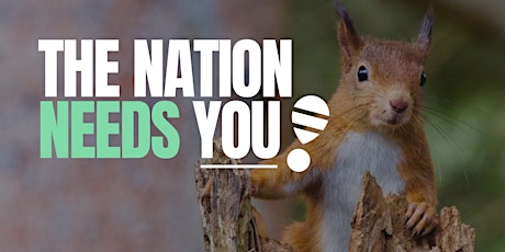 The Nation needs YOU! - Zero Hour Election Campaign Launch  primärbild