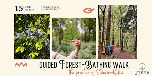 Hauptbild für Guided Forest-Bathing Walk