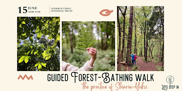 Guided Forest-Bathing Walk