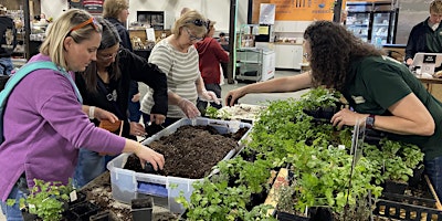 Hauptbild für Herb Gardens