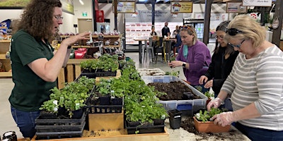 Primaire afbeelding van Herb Gardens