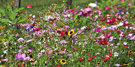 Image principale de Wildflower Floral Design Class at The Flourish Studio