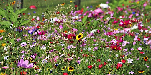 Hauptbild für Wildflower Floral Design Class @BrewDog NA