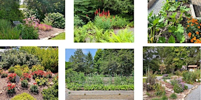 Image principale de The Basics of Home Gardening in Transylvania County