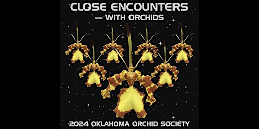 Primaire afbeelding van Oklahoma Orchid Society Show & Sale