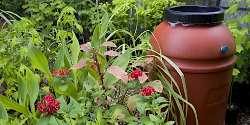 Hauptbild für 5-04-2024   Rain Barrel Workshop - UF/IFAS Extension Pasco County