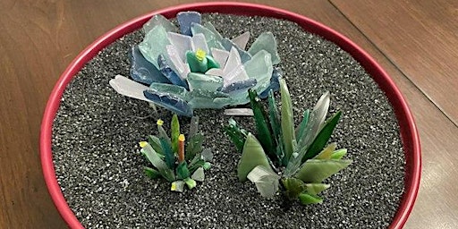 Glass Succulents | Mt. Pleasant Campus primary image