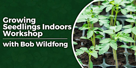 Growing Seedlings Indoors Workshop primary image
