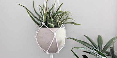 Macramé Plant Hanger Workshop primary image