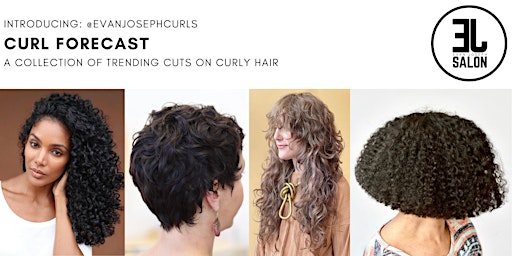Curl Forecast at The Network Salon primary image