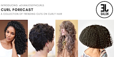 Curl Forecast at The Network Salon primary image