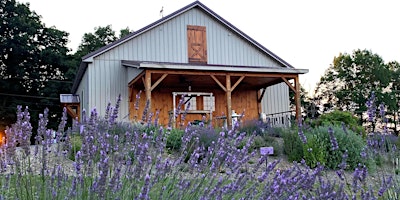 Hauptbild für Lavender Farm Tour 2024