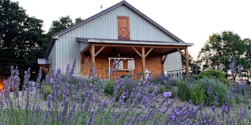 Primaire afbeelding van Lavender Farm Tour 2024