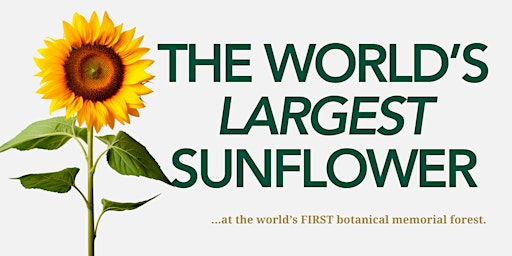 The World's Largest Sunflower  primärbild