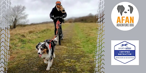 Immagine principale di Introduction to Bikejoring & Dog Scootering 